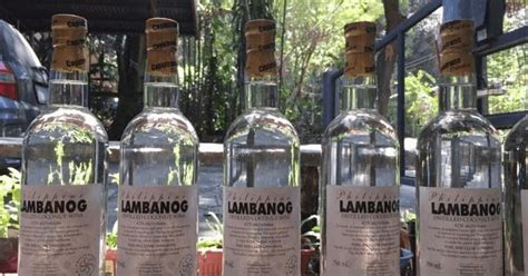 Lambanog among TasteAtlas's best spirits worldwide.